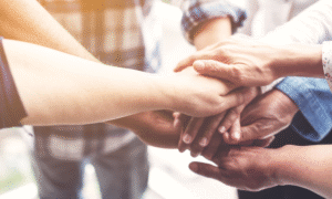 Support of Diversity, Equity, Inclusion, and Belonging